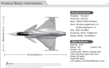 JAS-39 Gripen "Eagle Lion" 80mm Tunnel Model Aircraft Freewing Model